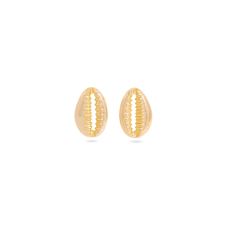 Cowrie Shell Studs