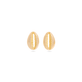 Cowrie Shell Studs
