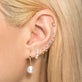 Ear to Ear Diamond Curve Studs