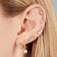 Image of 10K Yellow Gold Fine Diamond Maritime Huggies with Stone and Strand Earrings