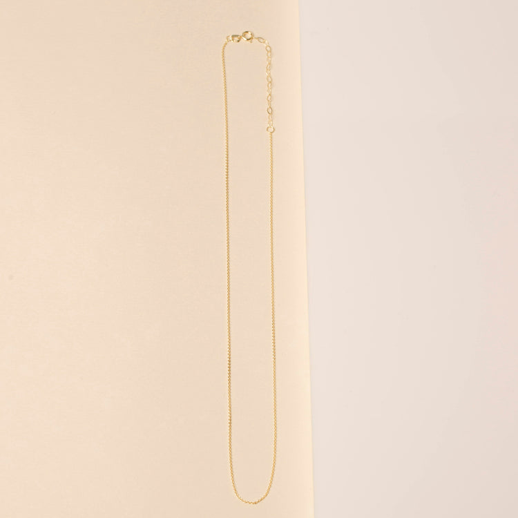 Stone and Strand 10K Yellow Gold Teeny Gold Chain Necklace Editorial Image