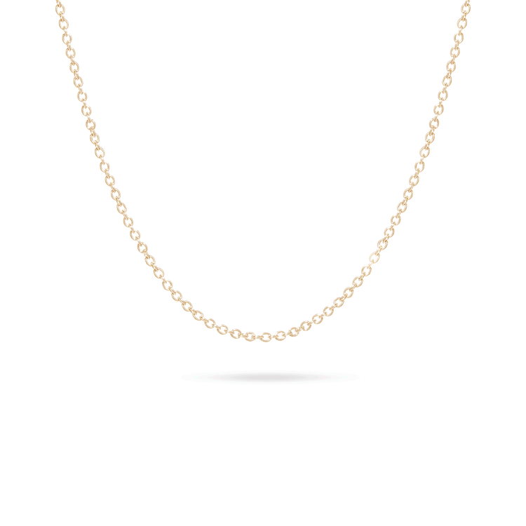 Stone and Strand 10K Yellow Gold Teeny Gold Chain Necklace Front Image