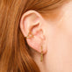 Gold Plated Front To Back Chunky Chain Earrings