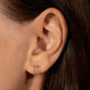Golden Fringe Studs