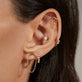 Golden Fringe Studs