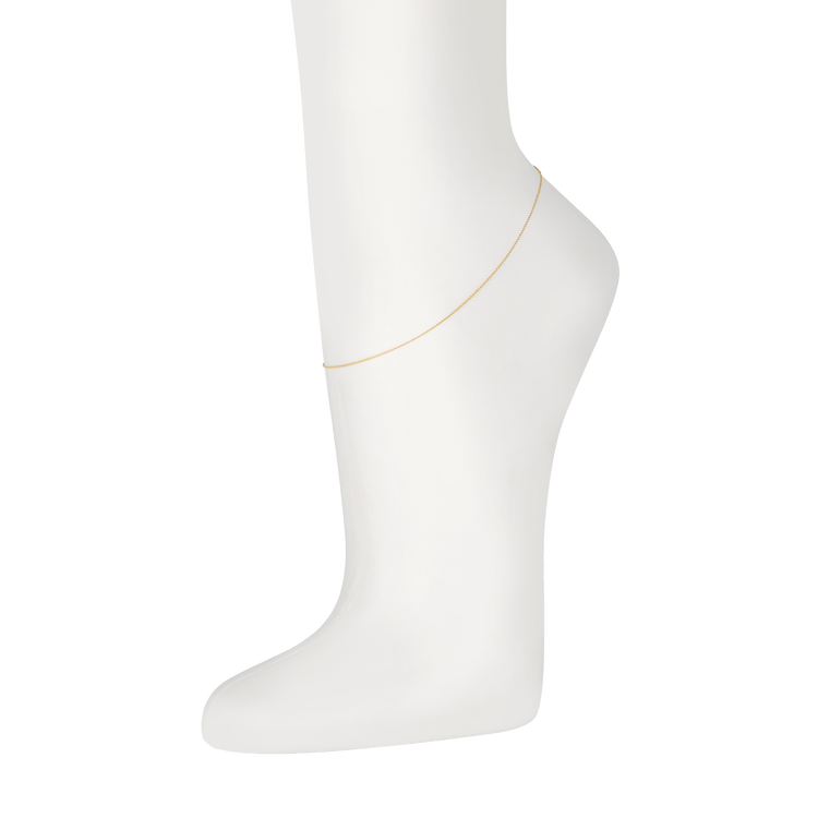 Image of 14K Yellow Gold Gold Chain Anklet on Models Ankle