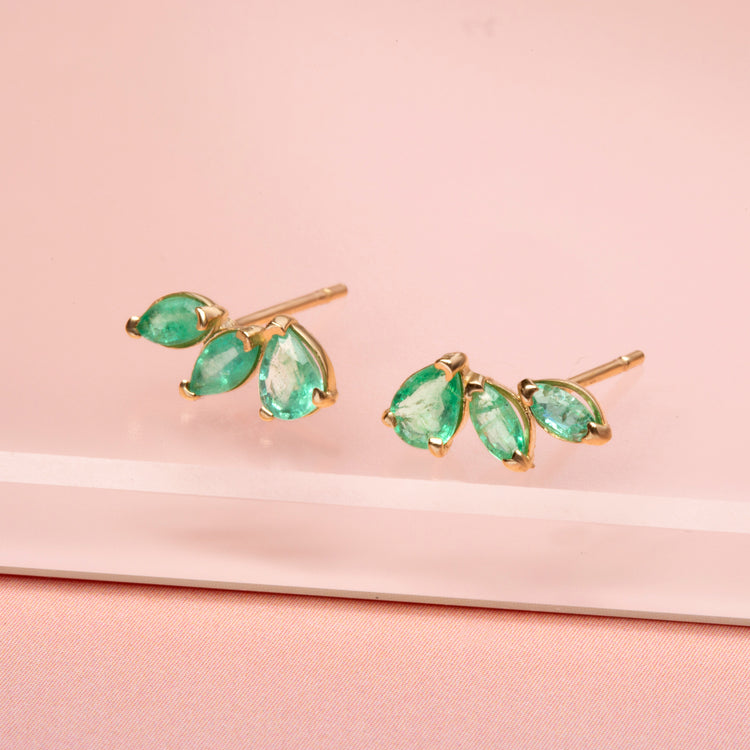 Green With Envy Climbers