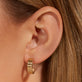 Layer Cake Hoops
