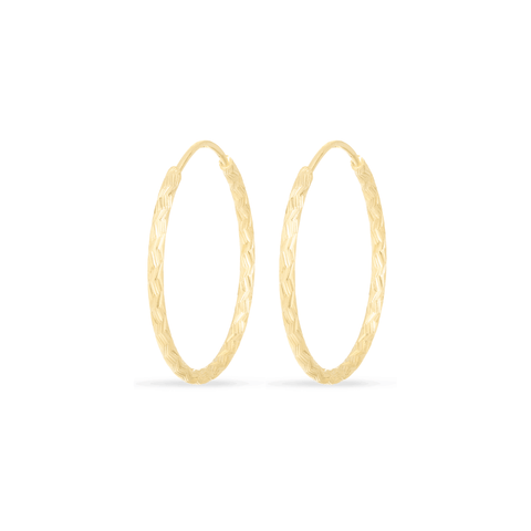 Hollow gold hoop earrings