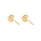 Mermaid Treasure Studs