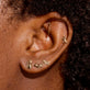 Mini T-Rex Studs
