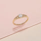 Pave Coin Pinky Signet