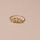 Pear Opal Sunset Curve Band