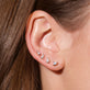 Rose Gold Fan Diamond Stud