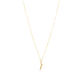 Screw It (The Screw Charm)