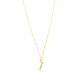 Screw It (The Screw Charm)