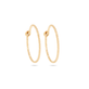 Small Sparkle Hoops