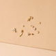 Still life image of Tiny Diamond Gold North Star Stud with Stone and Strand solid gold jewelry