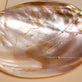 Still life image of Teeny Unicorn Gemstone Quartet Necklace with Stone and Strand solid gold jewelry