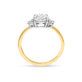 The Meghan Ring In Yellow Gold