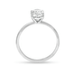 Stone and Strand The Scarlett Ring In Platinum Image