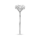Stone and Strand The Scarlett Ring In Platinum Side Image
