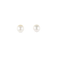 Stone and Strand 14K Yellow Gold Tiny Pearl Earrings Front Image
