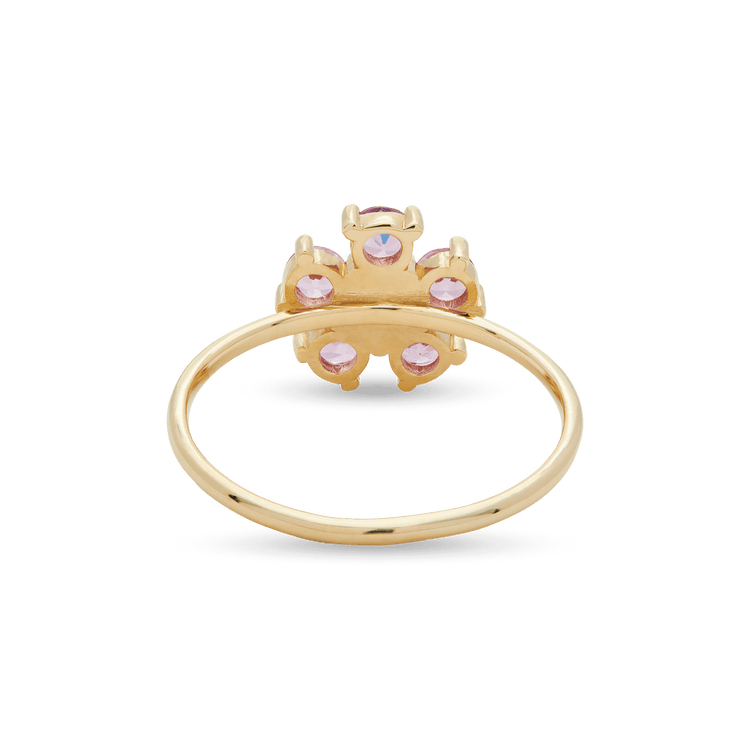 Turquoise Daisy Days Band