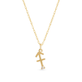 Zodiac Charm Necklace with Diamond