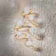 The Lucy Ring