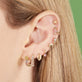 Cowrie Shell Studs
