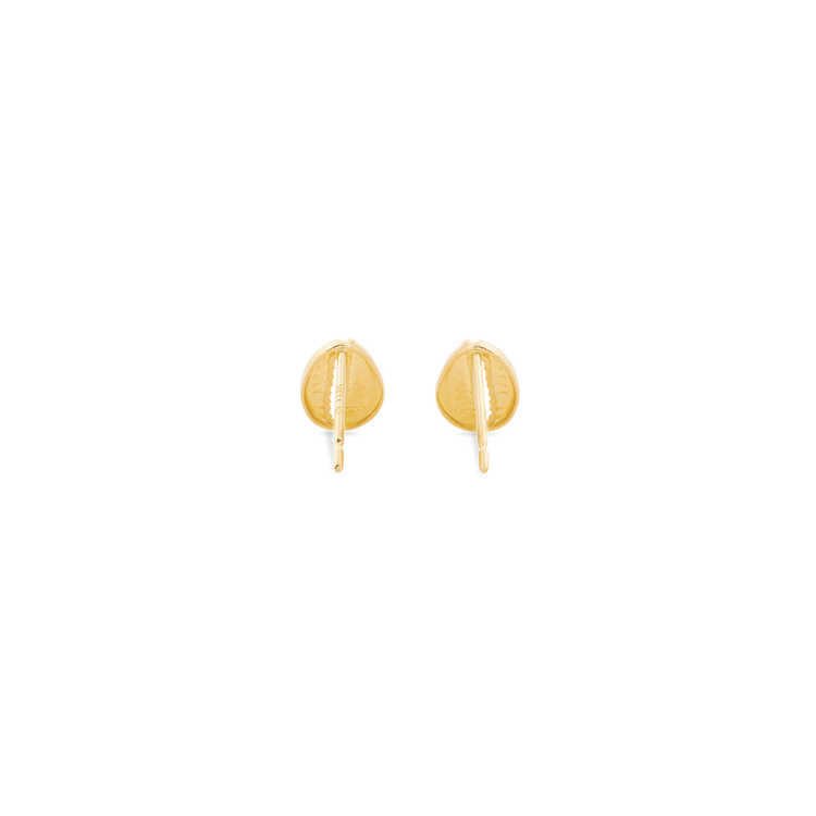 Cowrie Shell Studs