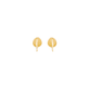 Cowrie Shell Studs